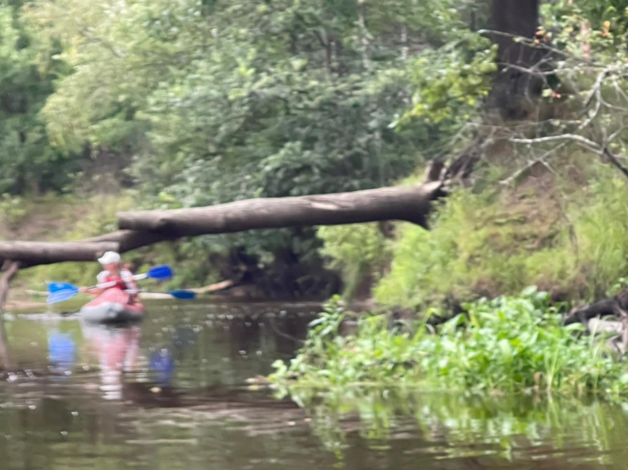 Сплав на байдарках 21.08.21. Галерея Фантим