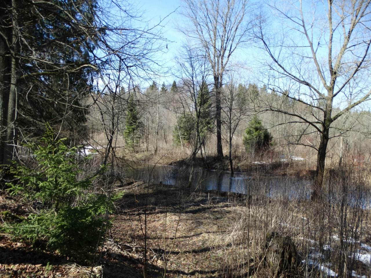 «Весенний переполох» Загородный выезд | 16-17.04.2016. Галерея Фантим