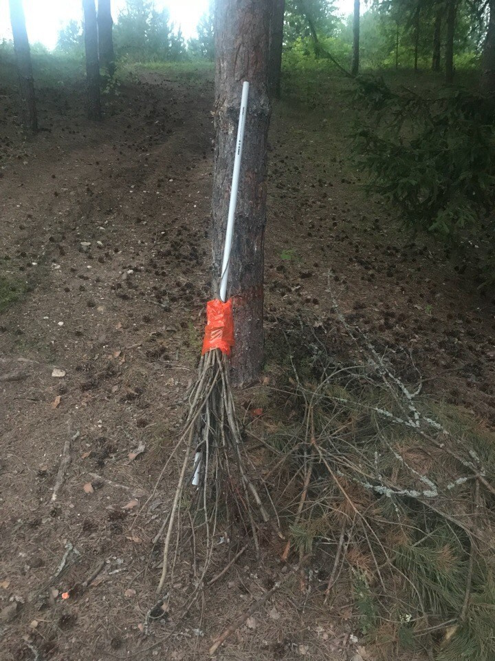 Походная романтика 28! Шабаш | 13-15.07.2018. Галерея Фантим