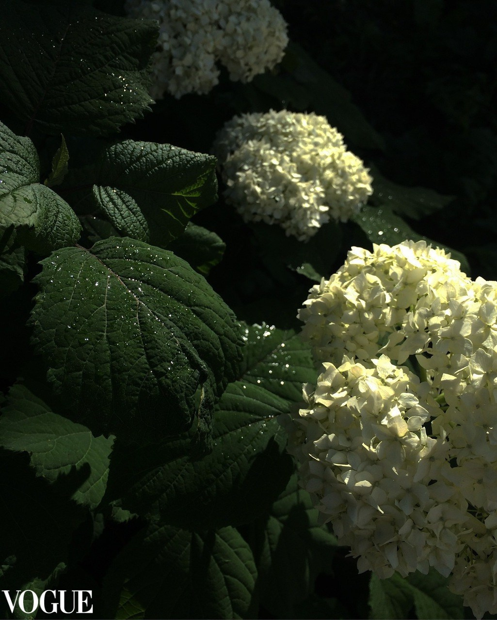 Мои работы в журналах. Фотограф про жизнь. Сергиев Посад, Мск