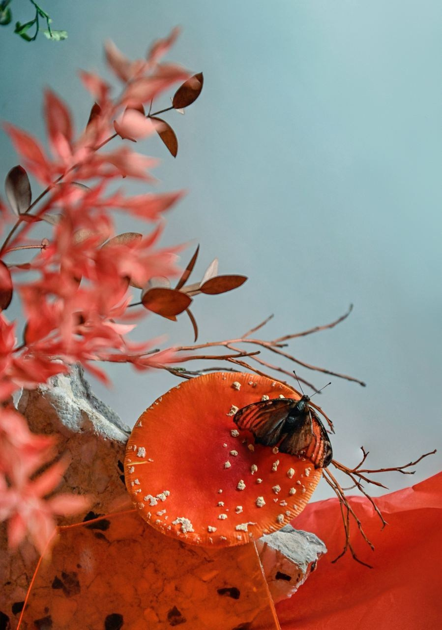 Фотограф Марина Гранкина