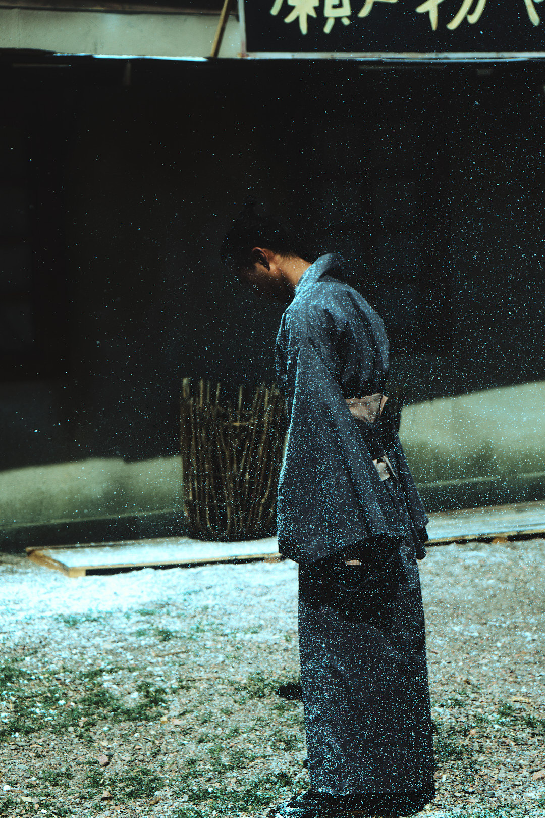 Posters/cinema. Berman Euginia