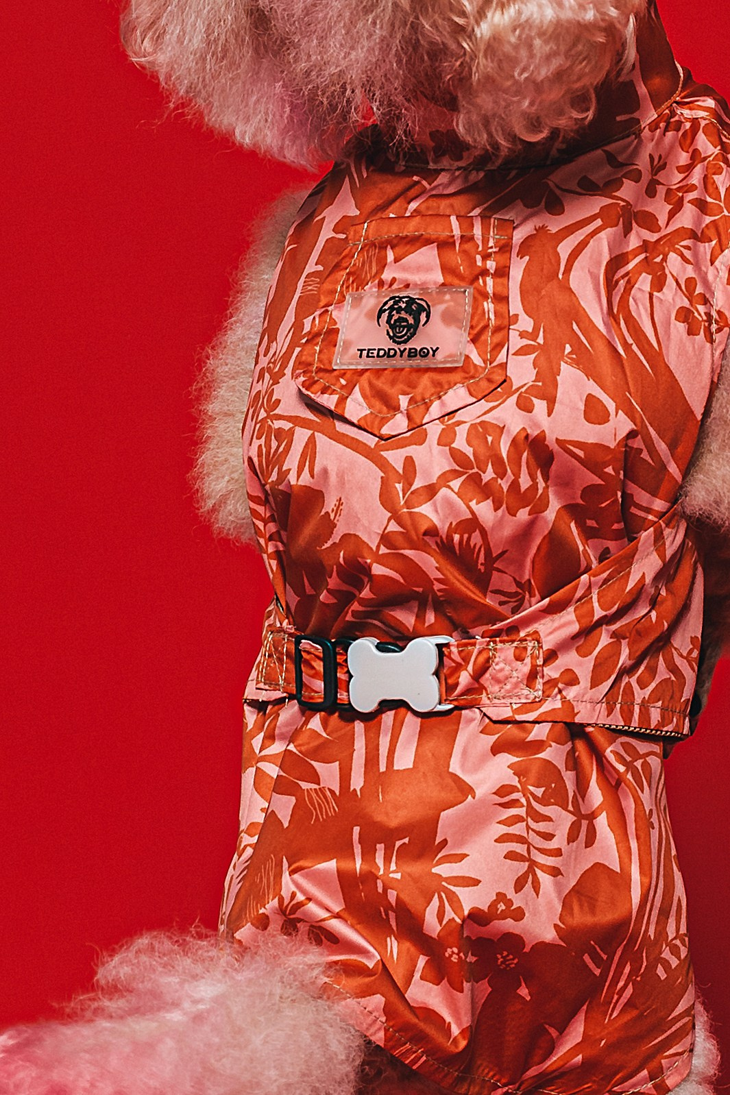 Съемка для бренда TEDDYBOY. Фотограф-анималист Татьяна Степанова