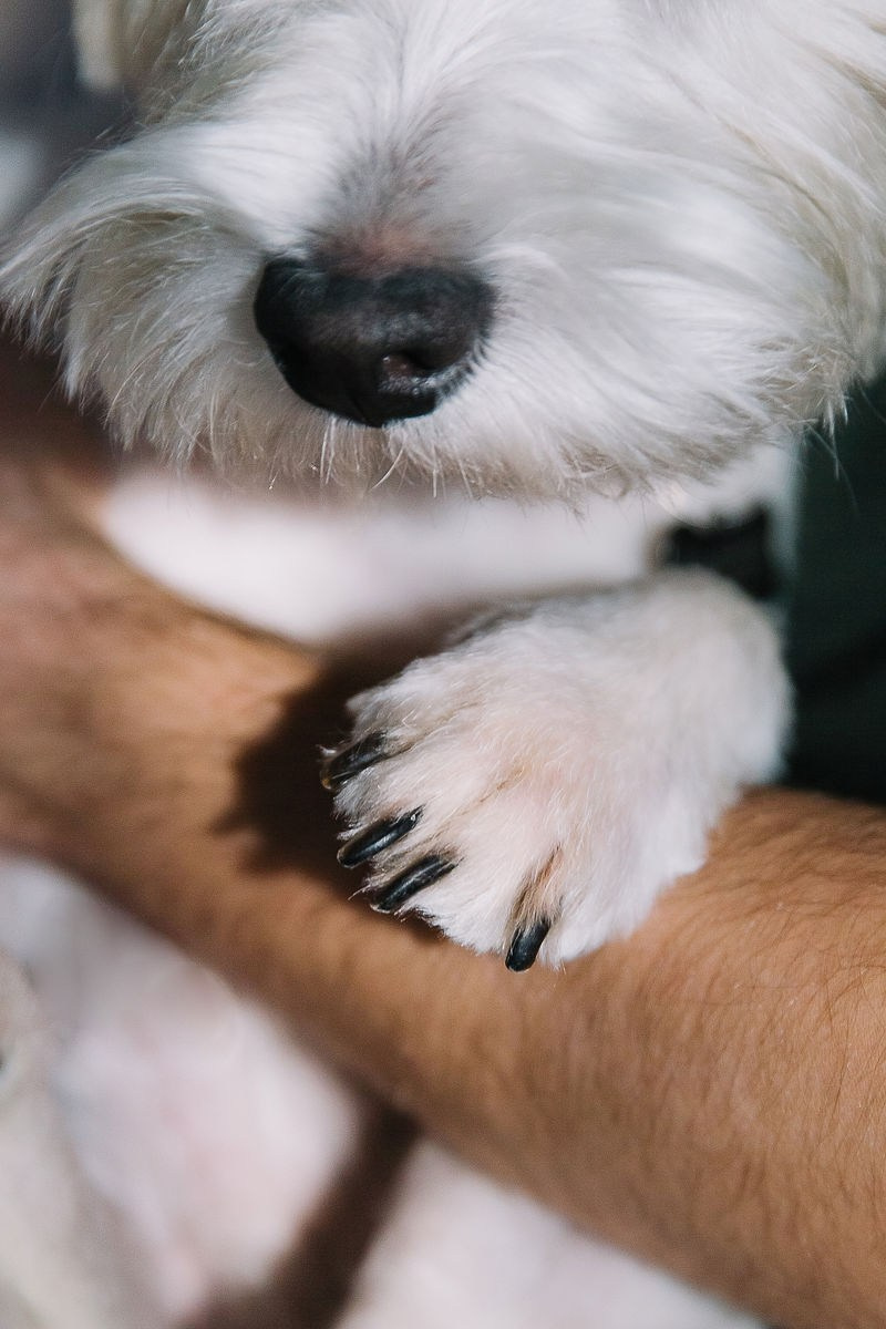 Катя и Женя