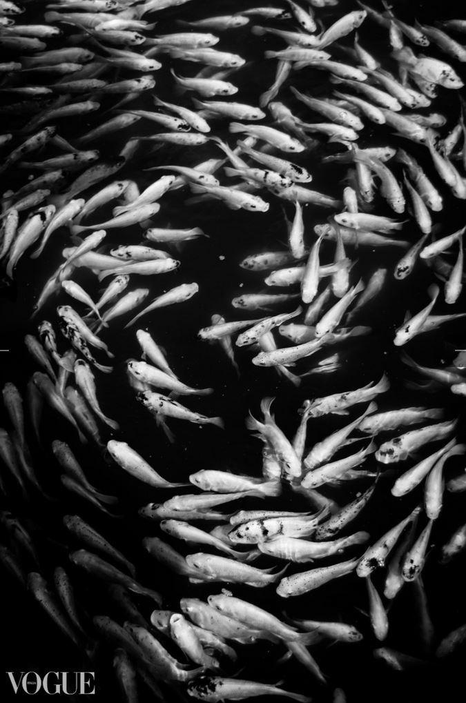 Publication in magazine. Фотограф Женя Грош в Москве