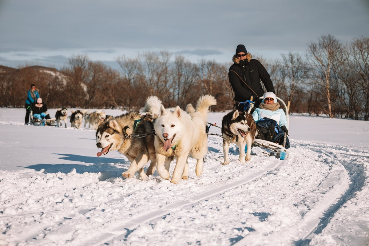 Камчатка. Главная