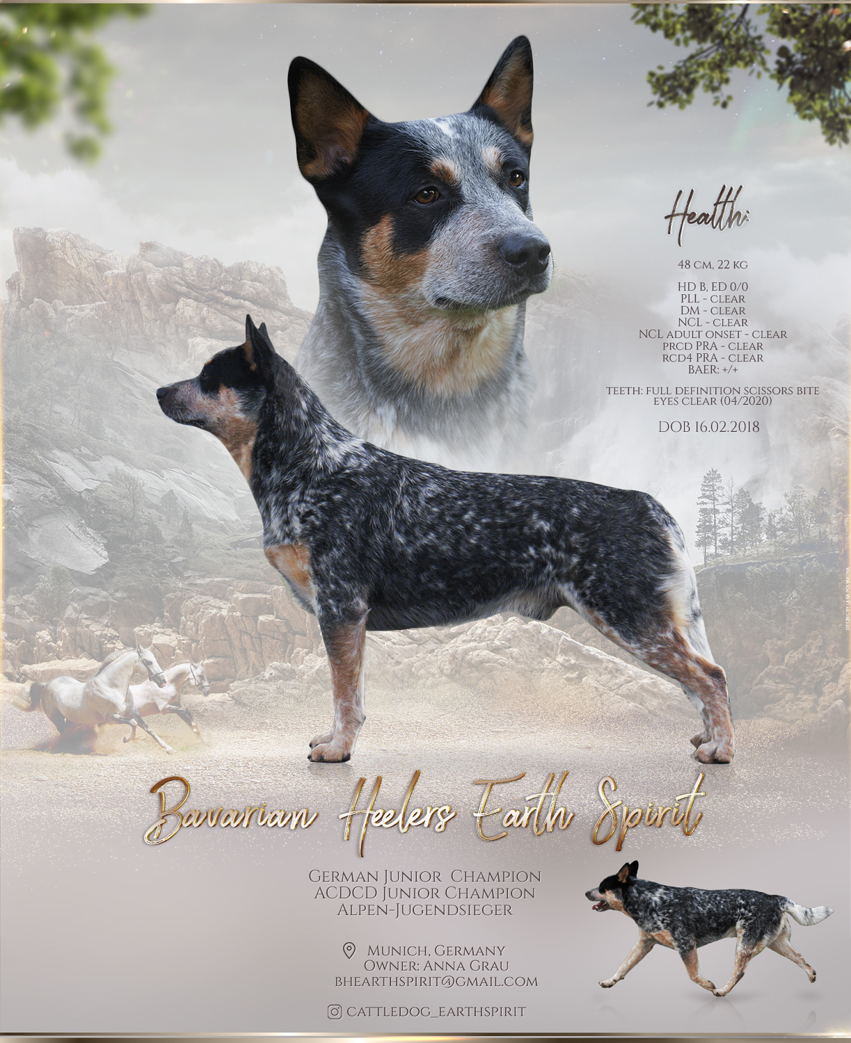 Презентация кобеля хилера