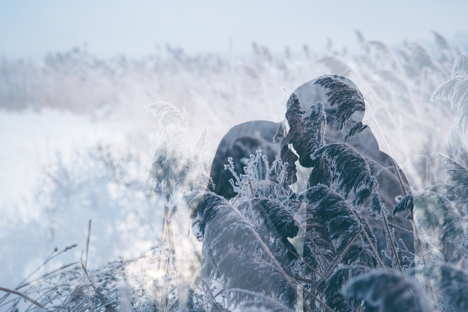 Фотограф Ксения Чебиряк Москва