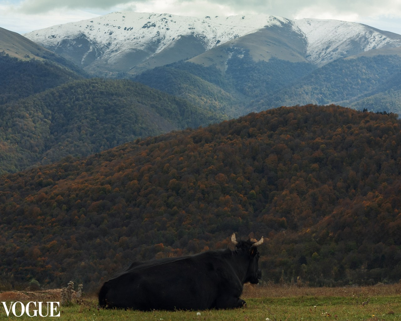 VOGUE. MARINA MANUCHARIAN