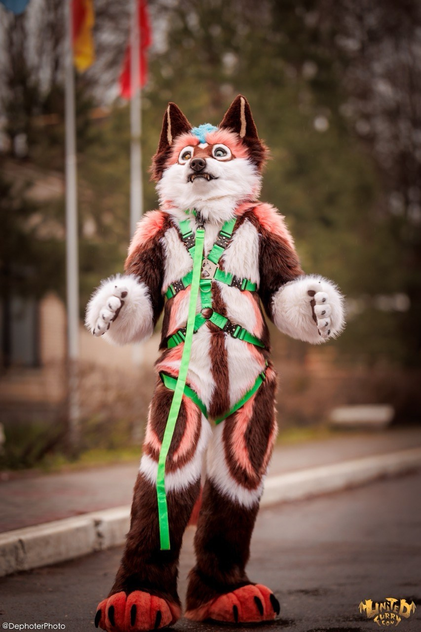 United Furry Convention 2026. Различные мероприятия и просто фотографии людей