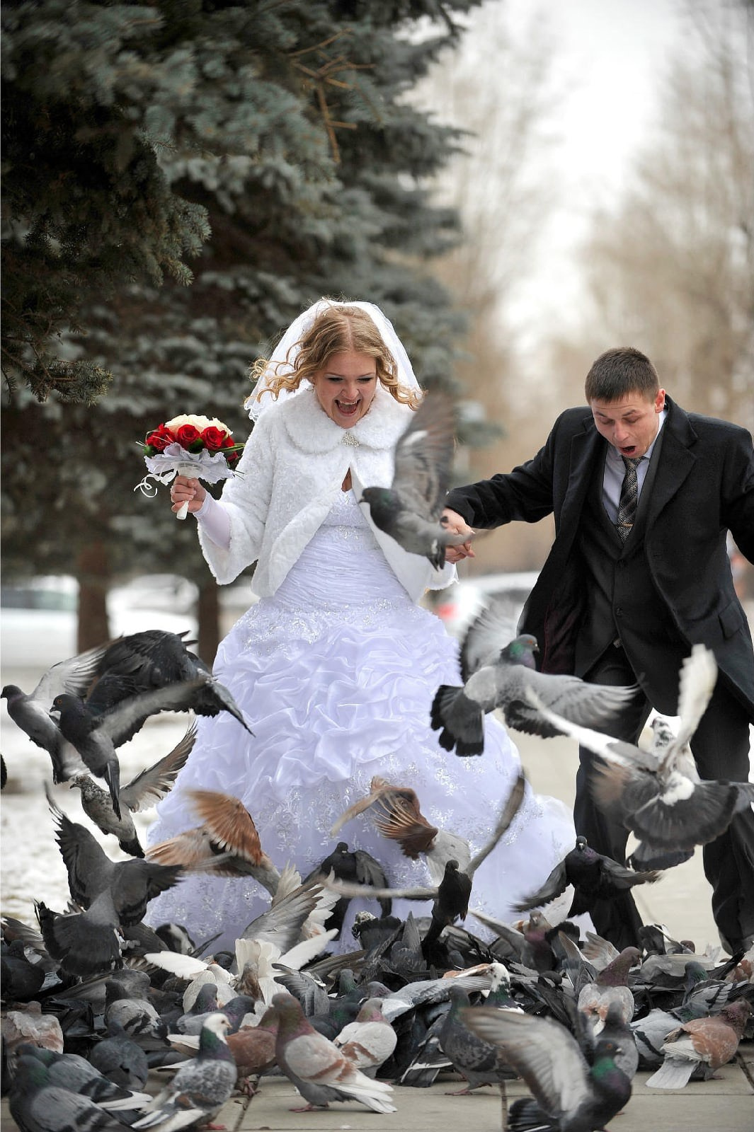 Фото. Фото и видео в Абакане. Видеограф Сергей Белков