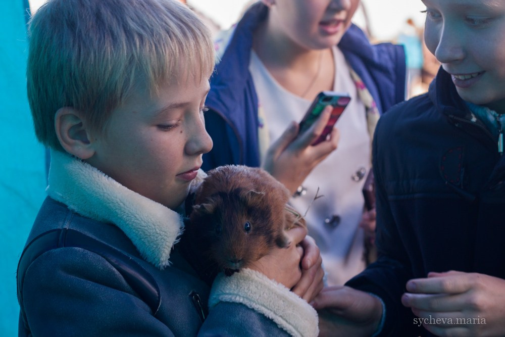 Ярмарка талантов. Детский и семейный фотограф, фотограф мероприятий Нижний Новгород