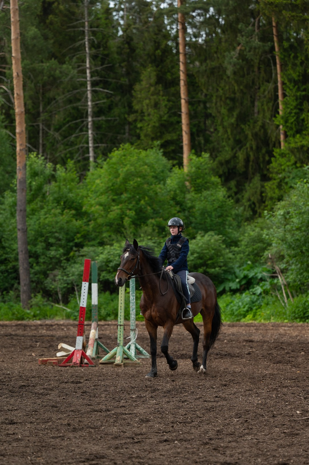 Конюшня. Мир живой фотографии о Вас и для Вас