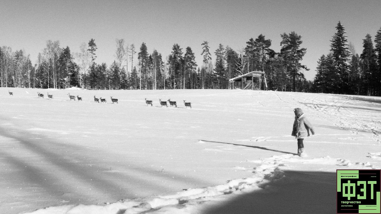 Март 2026. Автор месяца проекта ФЭТ: Фотография Эстетика Творчество