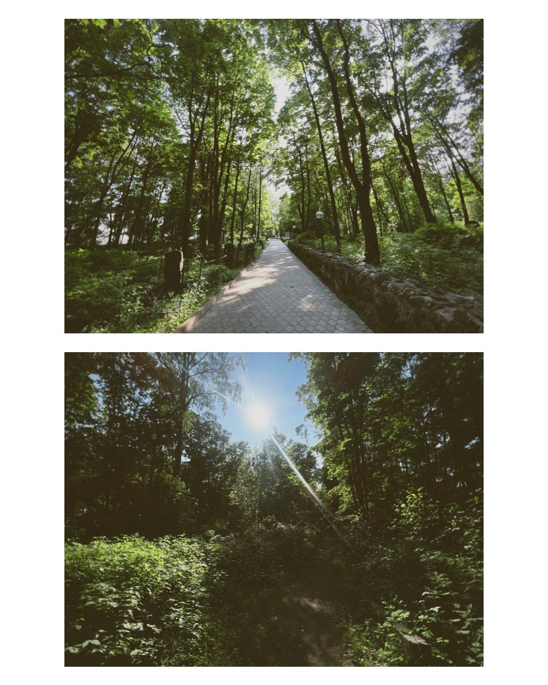 Vyborg. Alina Panover