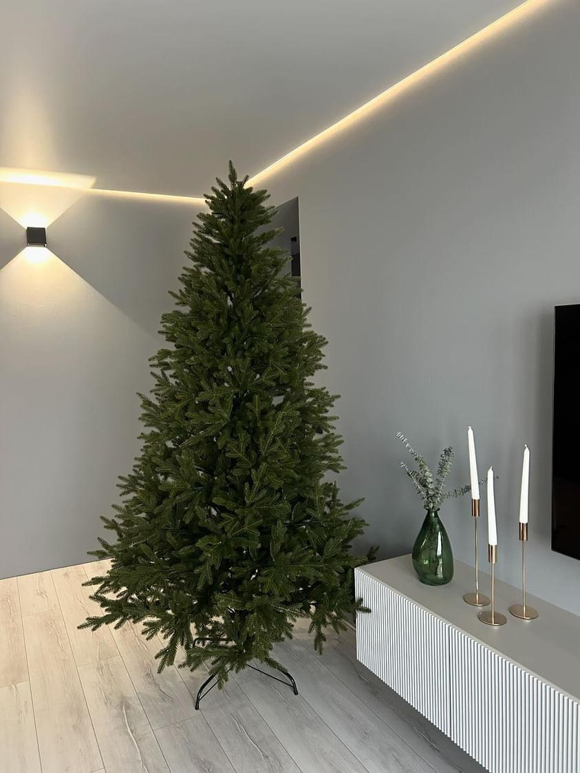 ЛЕСНАЯ. Elki_grodno