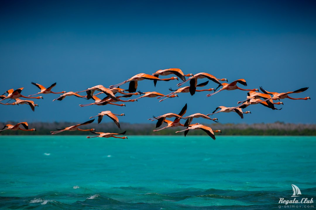 ЯХТЫ / МОРЕ / ПУТЕШЕСТВИЯ. Сложная съёмка для бизнеса b2b / Яхтенный фотограф / Корпоративные календари / Промышленная съёмка / Спортивный репортаж