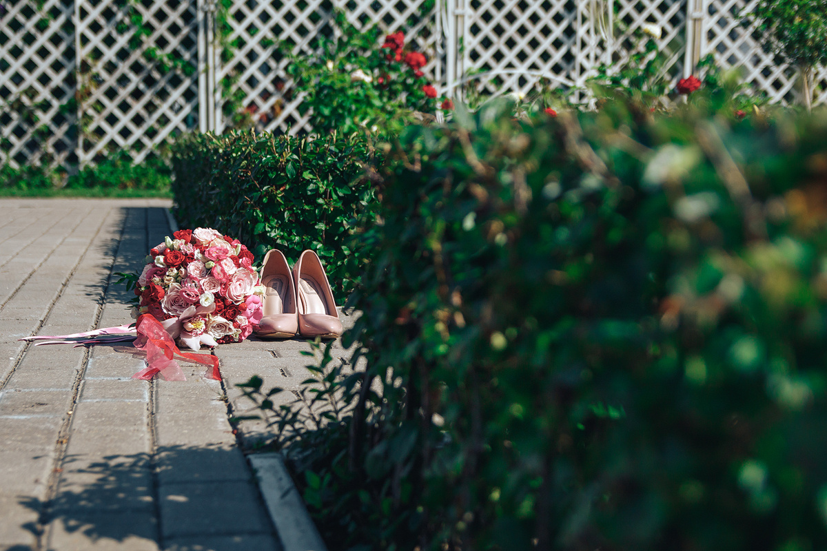Свадебный фотограф в твери. Светлана Иванова - профессиональный фотограф