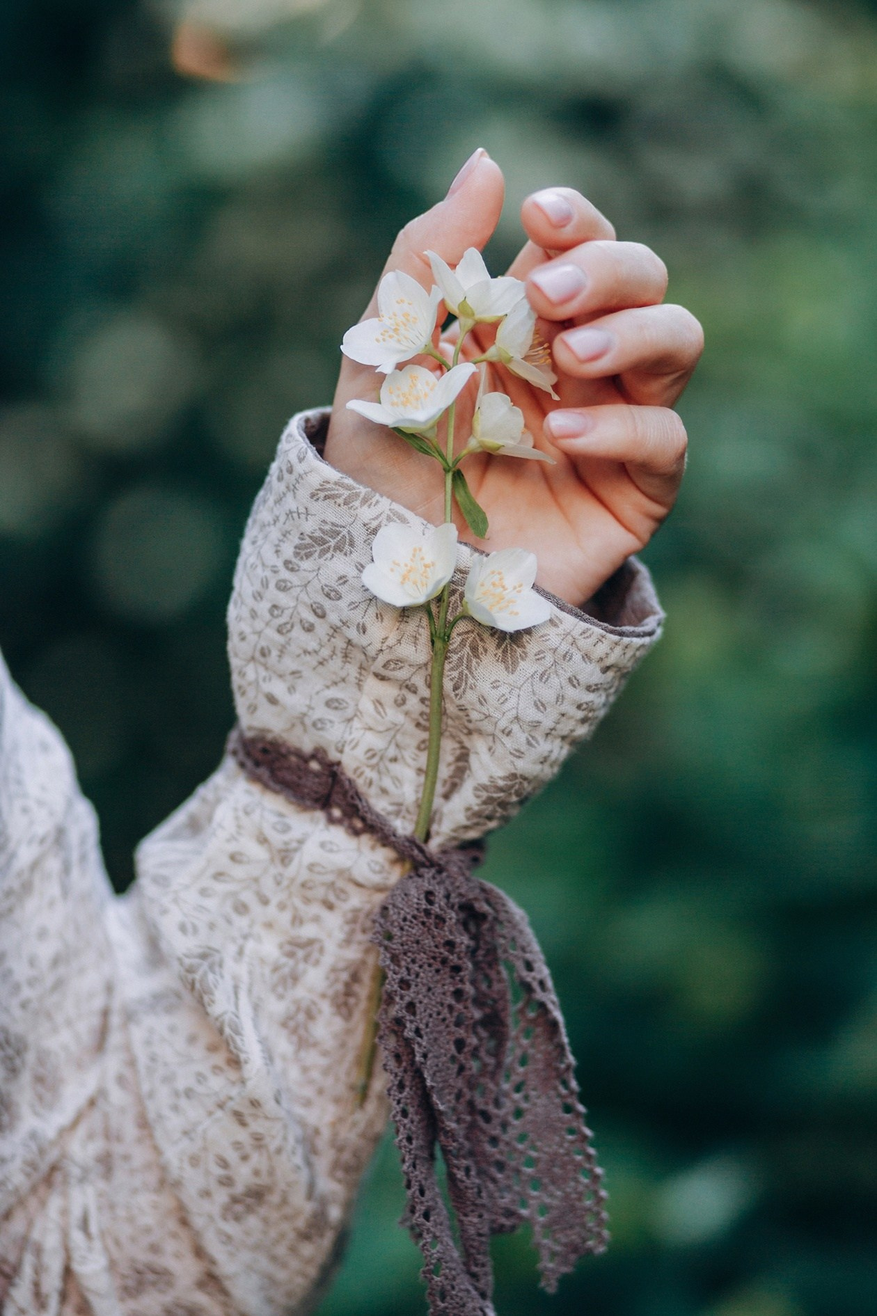 Жасмин (чубушник). Семейный и детский фотограф |Брянск| Анастасия Перепелкина