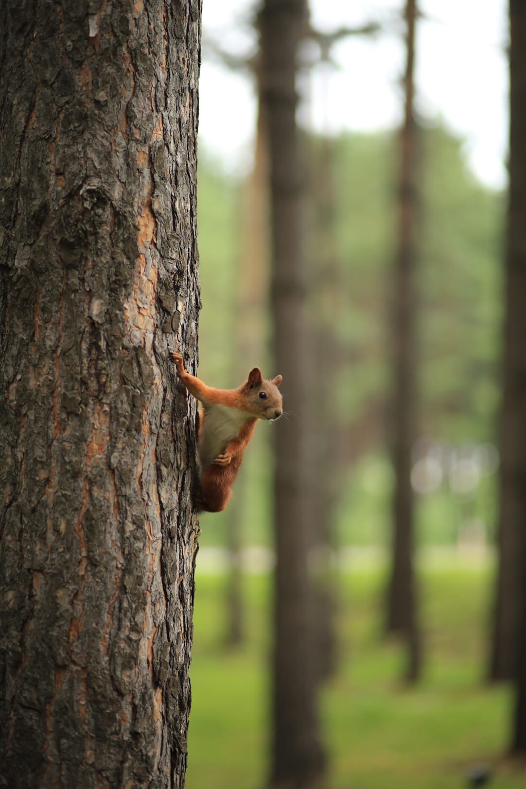Свои среди своих. Фотограф 📸 семейный, предметный, репортажный