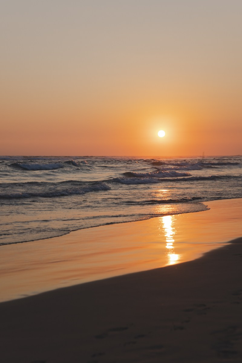 Шри-ланка. Ретрит «Bodу.Mind.Soul» Март 2024 Фото. Профессиональный фотограф Татьяна Евглевская