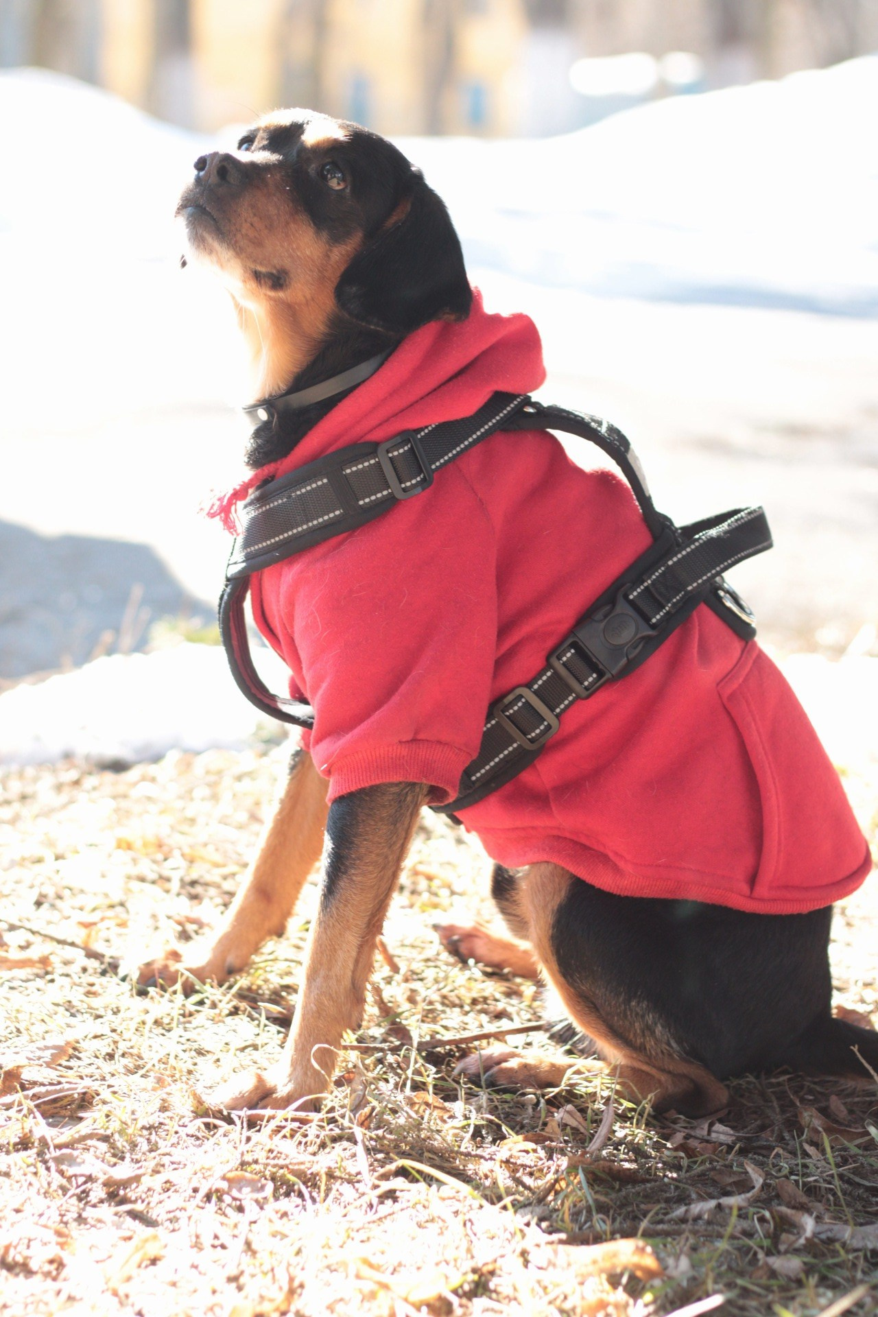 Маша и Кекс. Катя Попова|ЛайфСтайл фотограф