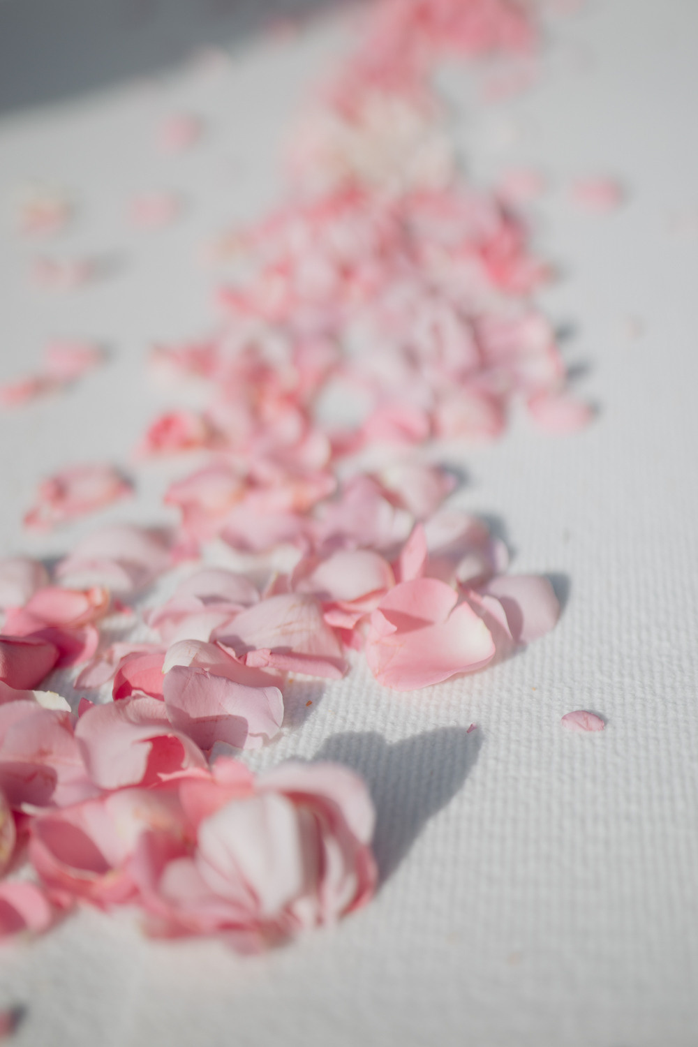 Андрей и Алиса. Фотограф Ксения Ресси