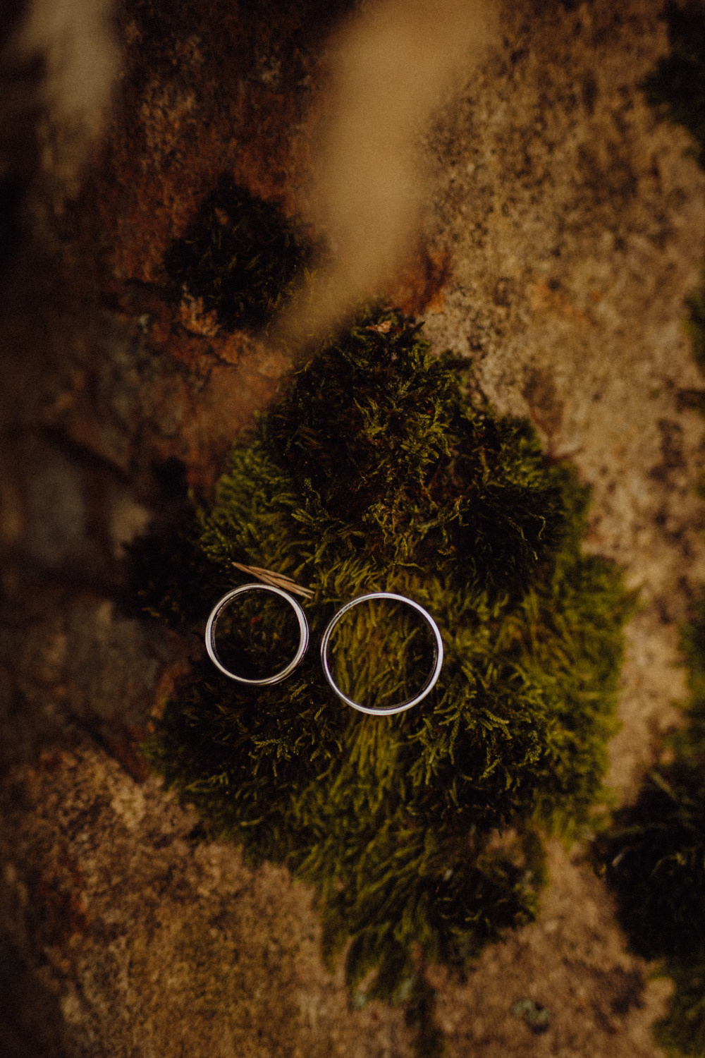 Услуги. Фотограф Ксения Ресси