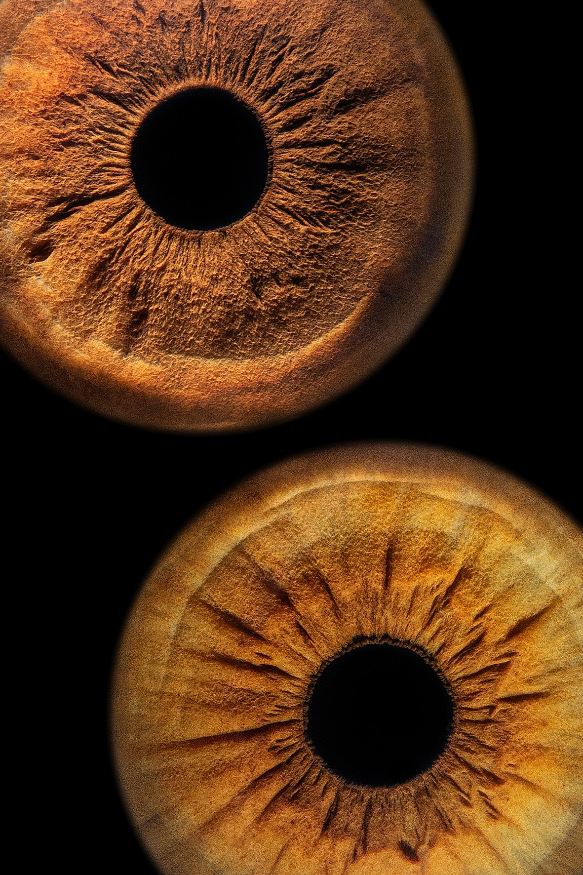 Примеры работ. Мой глаз