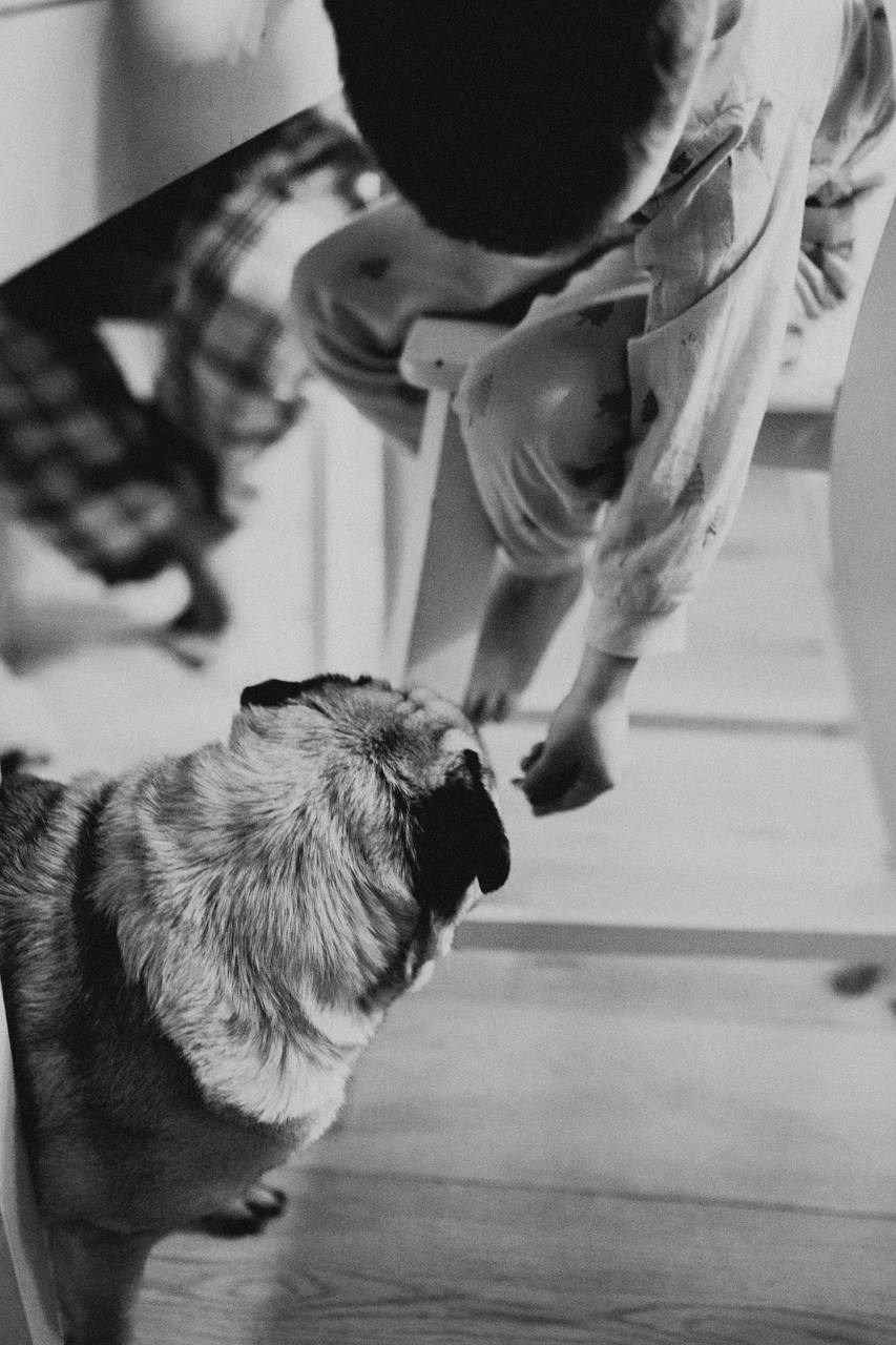 Практикум «Снимай без правил». Фотограф Анастасия Мукоид