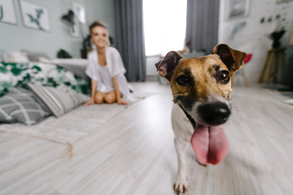 Вика & Андрей. Фотограф Алексей Карпов