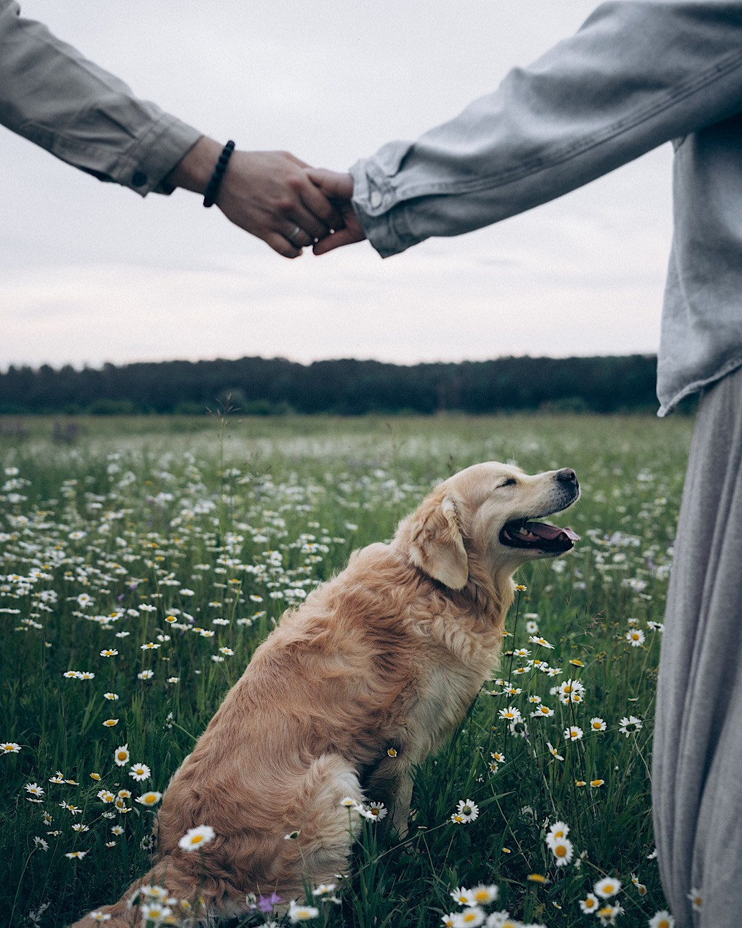 Кристина, Александр, Каролина, Владлен и Космос. Фотограф анималист в Москве и Санкт-Петербурге Свиридова Анна
