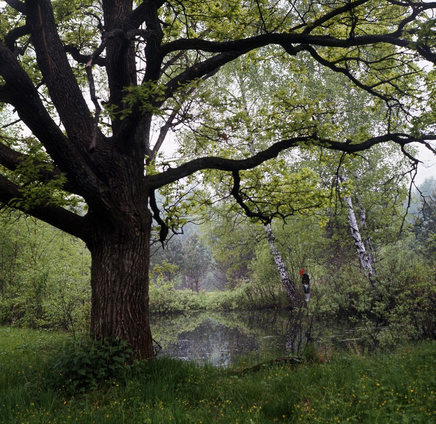Лето. ВАДИМ ГИППЕНРЕЙТЕР — ВЕЛИКИЙ ФОТОГРАФ ЗЕМЛИ РУССКОЙ