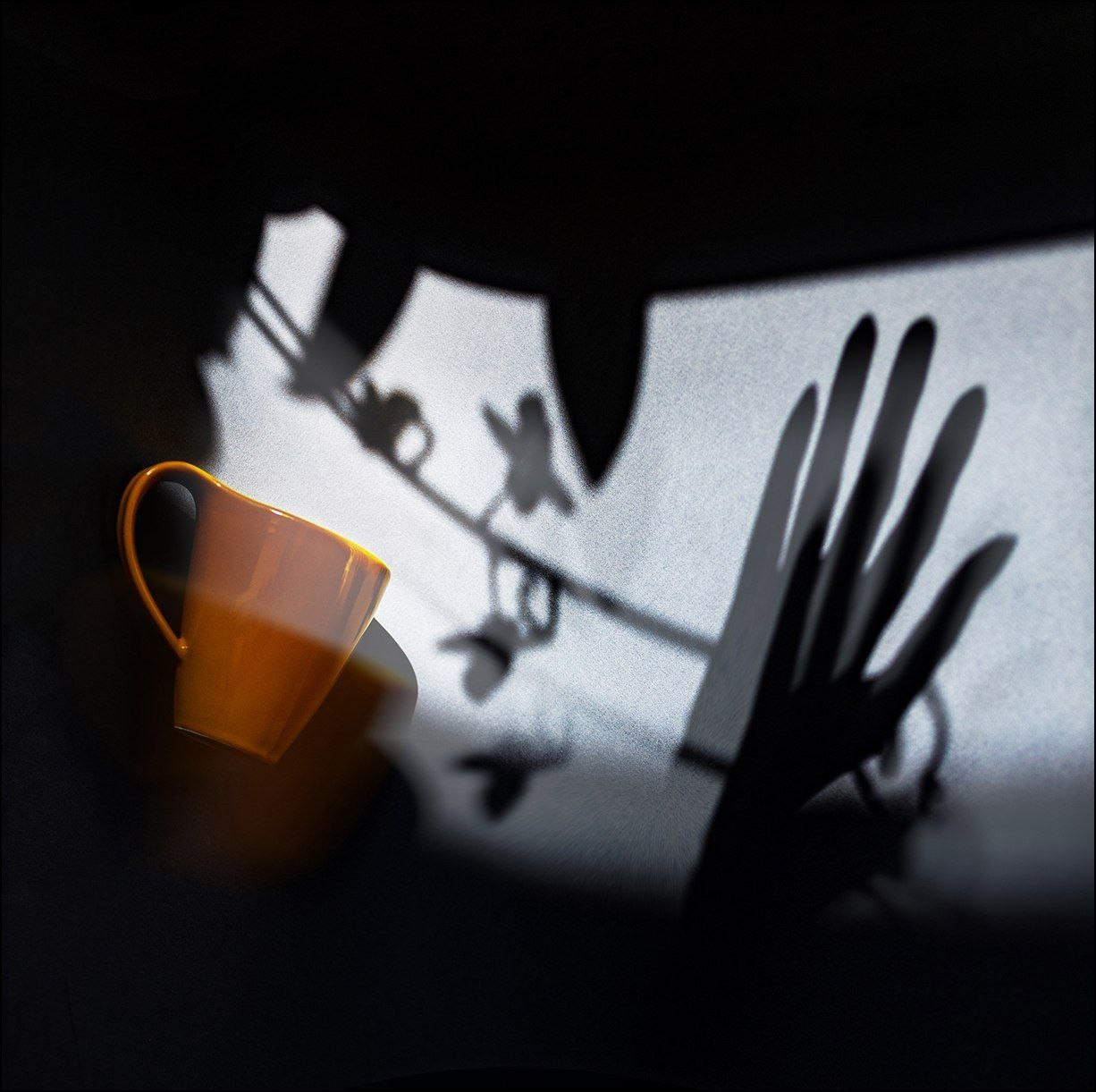 Демидова Елена. Фотообъединение Самарского областного отделения Союза журналистов России