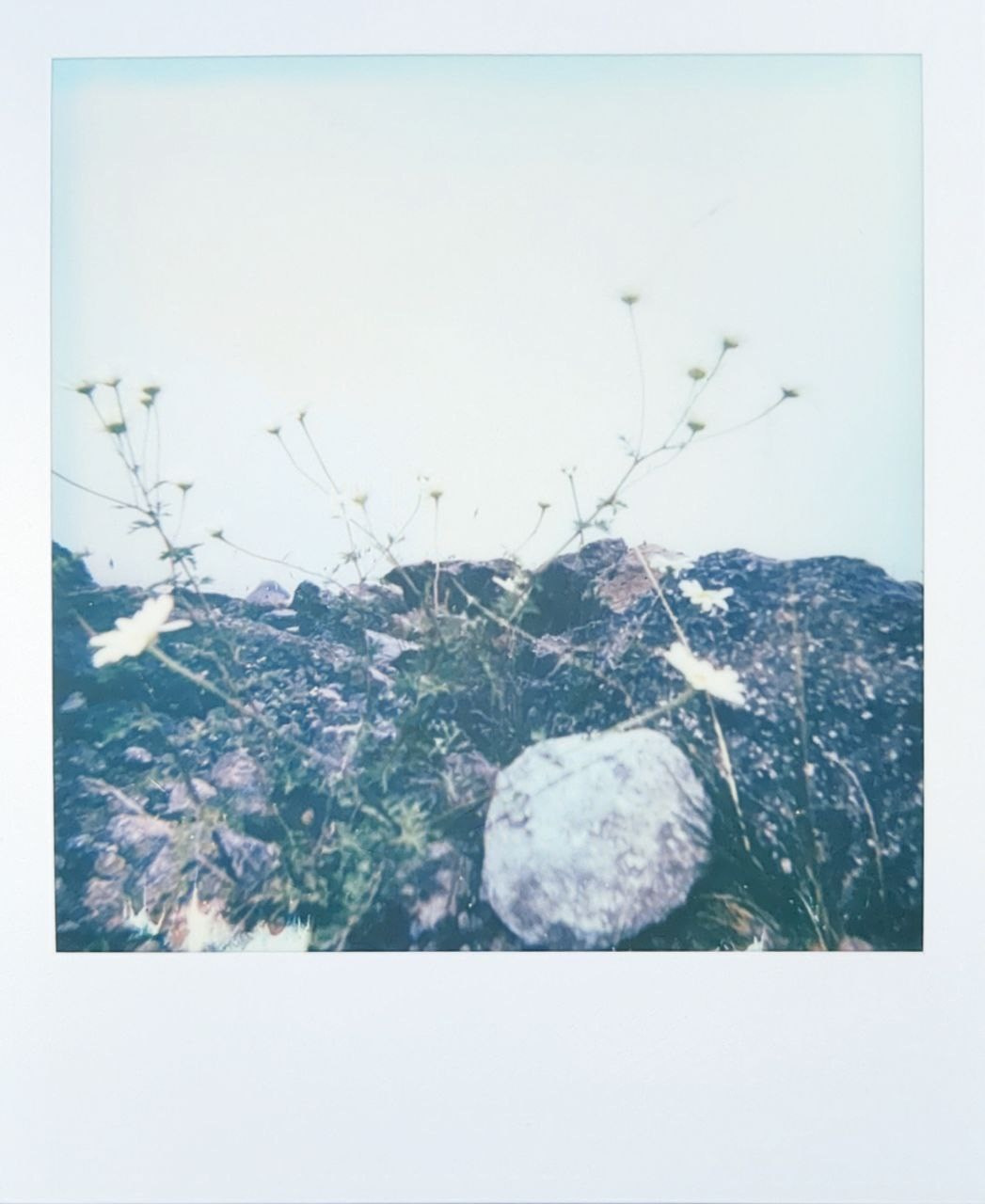 Polaroids. Ольга Лончакова, фотограф, режиссер