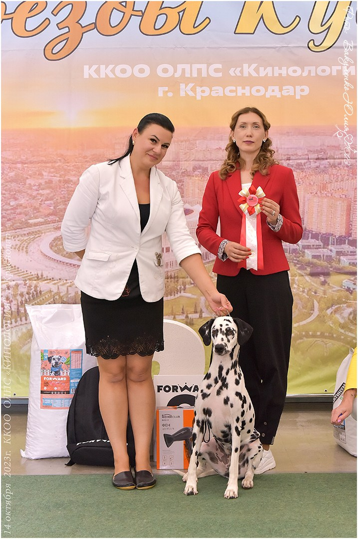 Репортаж. Фотограф анималист | семейный Юлия Вакуленко, г. Краснодар