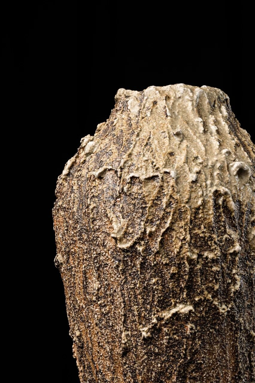 Следы на песке. Арт-керамика Катерины Жизневской