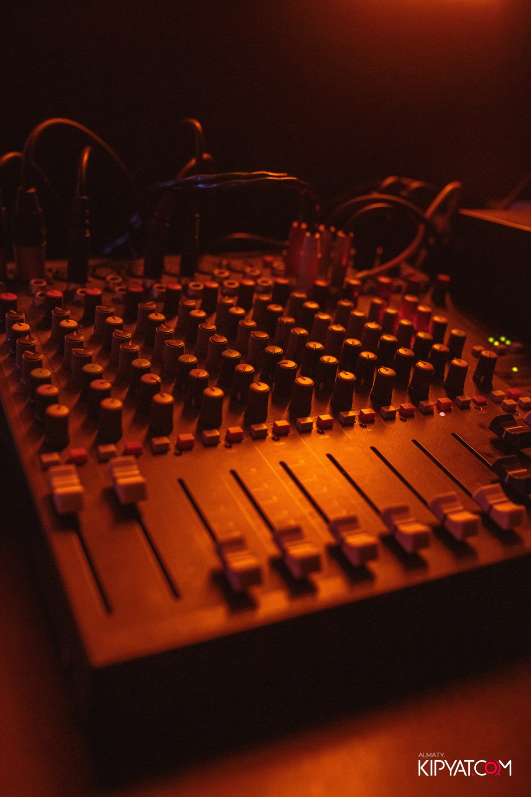 УХО И МЕДВЕДЬ НА ГАГАРИНА. КИПЯТКОМ АЛМАТЫ!