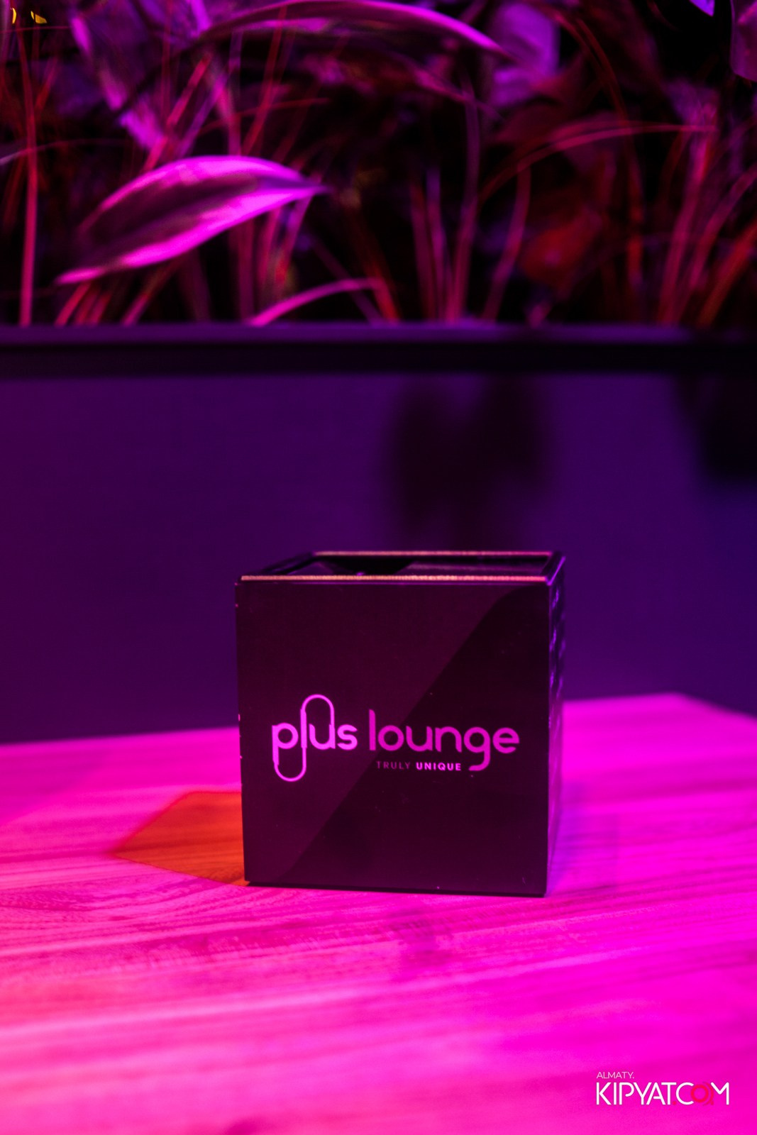 ПИНТА НУРЛЫ-ТАУ. КИПЯТКОМ АЛМАТЫ!