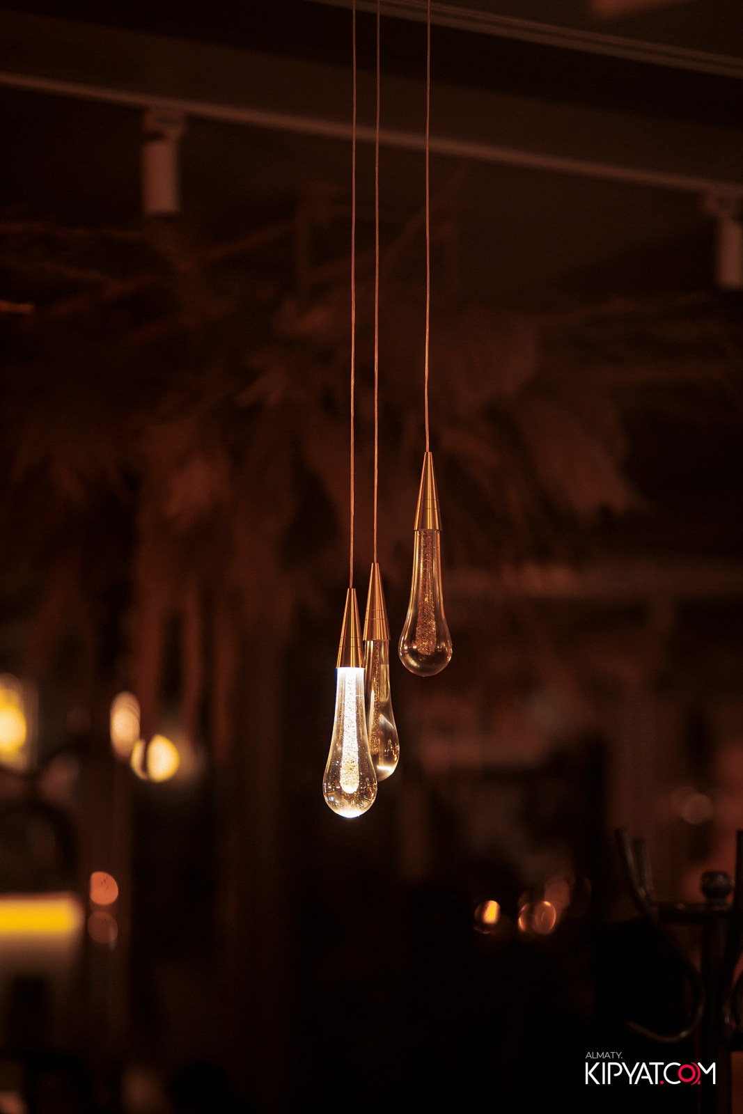 TRENDY RESTAURANT. КИПЯТКОМ АЛМАТЫ! Фотосъемка мероприятий в Алматы