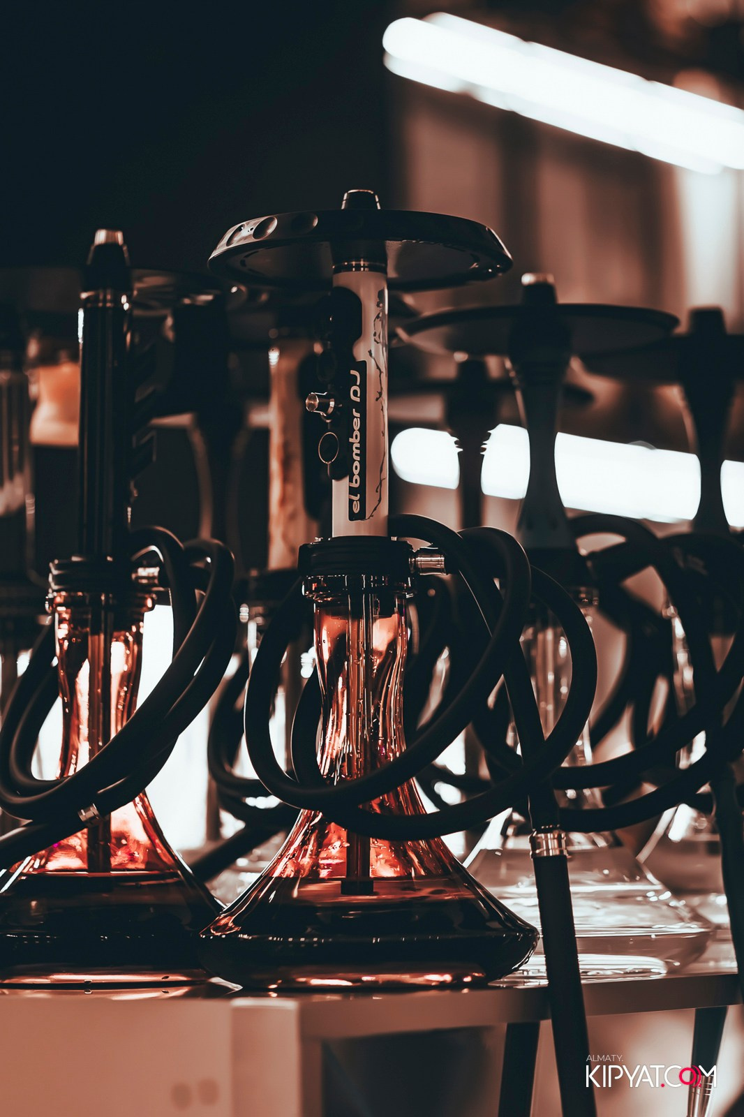 SAHARA ASIAN MIX. КИПЯТКОМ АЛМАТЫ! Фотосъемка мероприятий в Алматы