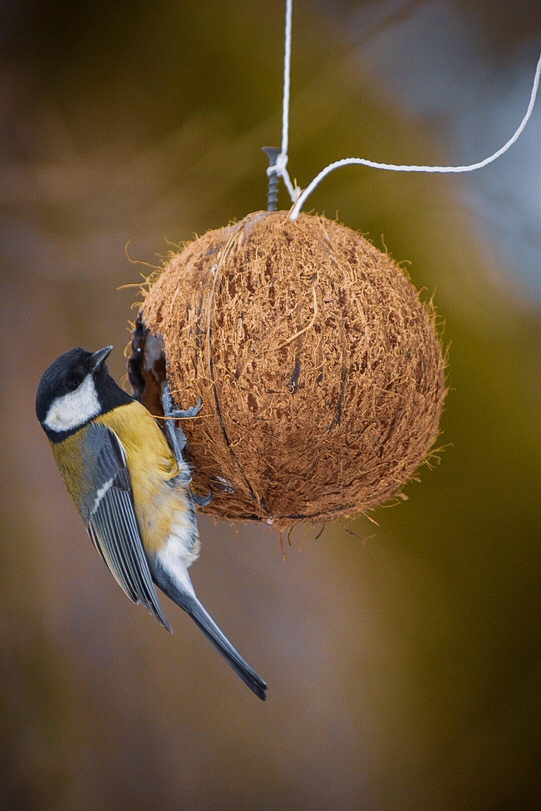 Прогулка в Павловском парке. Фотограф людей и животных в Санкт-Петербурге Марина Бурмистрова