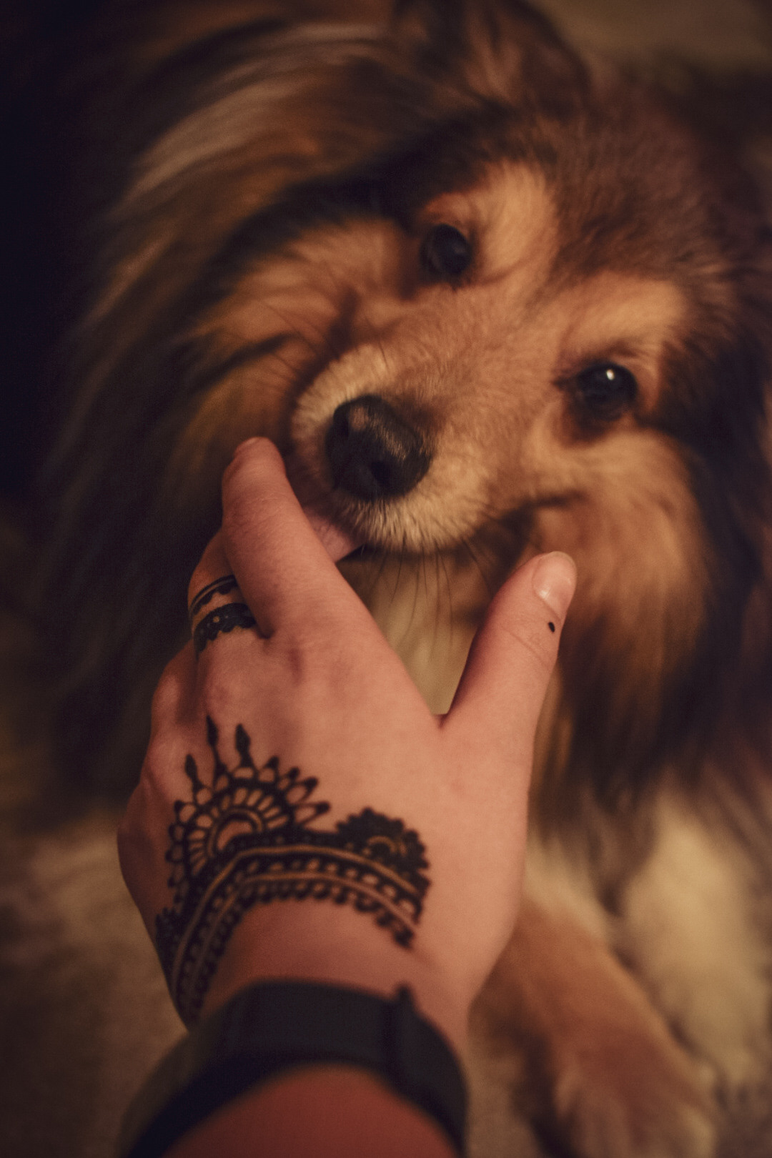 Первые кадры на первую «зеркалку». Фотограф людей и животных в Санкт-Петербурге Марина Бурмистрова