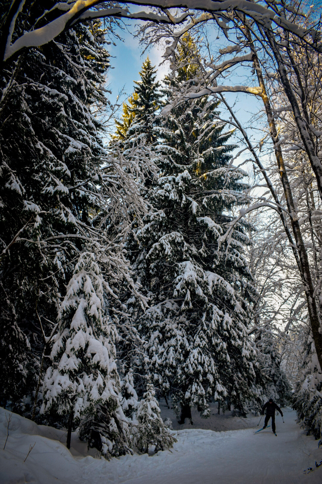 Первые кадры на первую «зеркалку». Фотограф людей и животных в Санкт-Петербурге Марина Бурмистрова