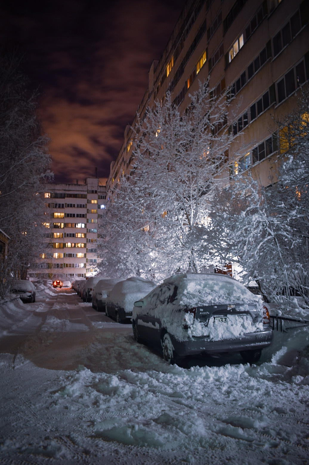 Весна 2019. Фотограф людей и животных в Санкт-Петербурге Марина Бурмистрова