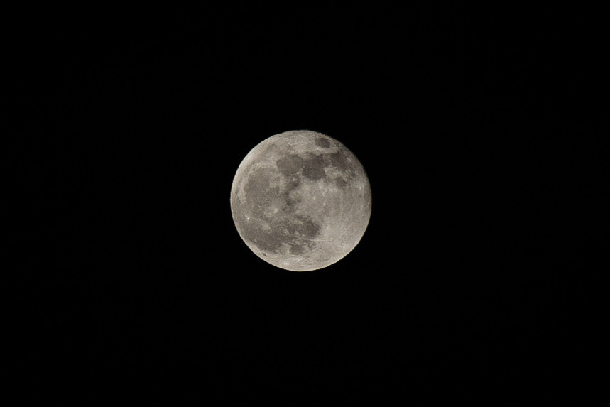 Первые кадры на первую «зеркалку». Фотограф людей и животных в Санкт-Петербурге Марина Бурмистрова