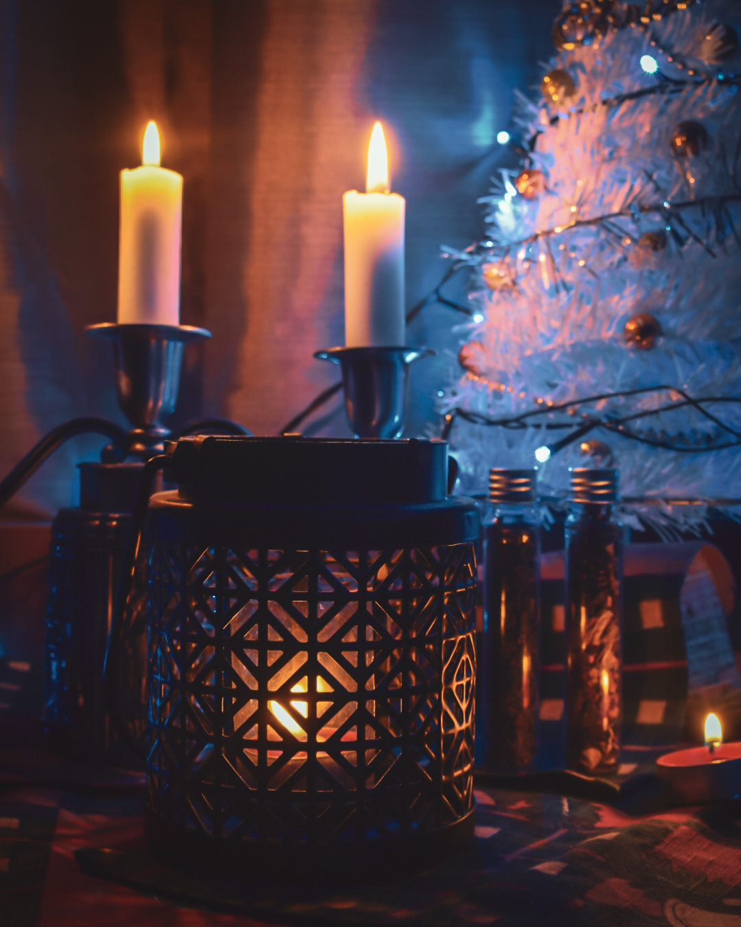 Первые кадры на первую «зеркалку». Фотограф людей и животных в Санкт-Петербурге Марина Бурмистрова