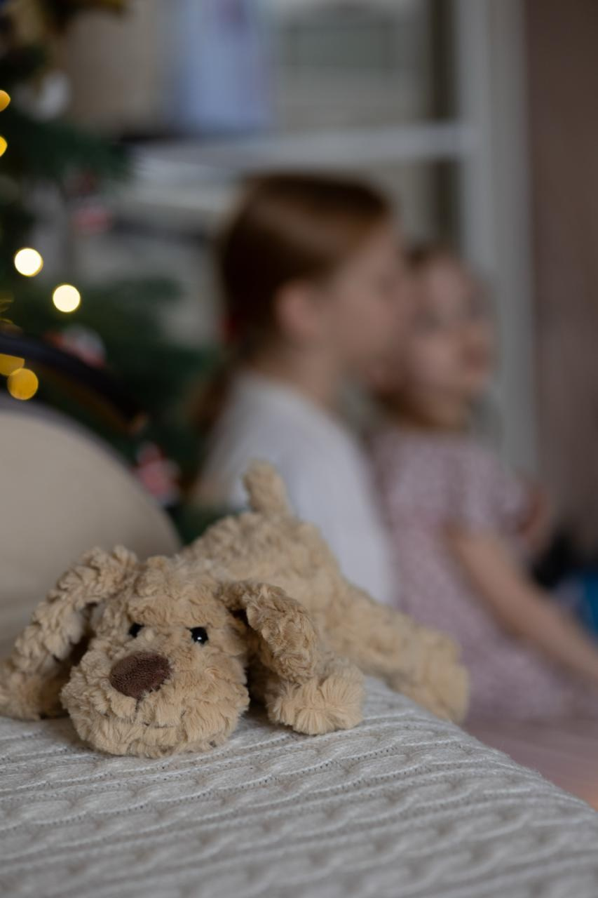 Домашние съемки. Основное