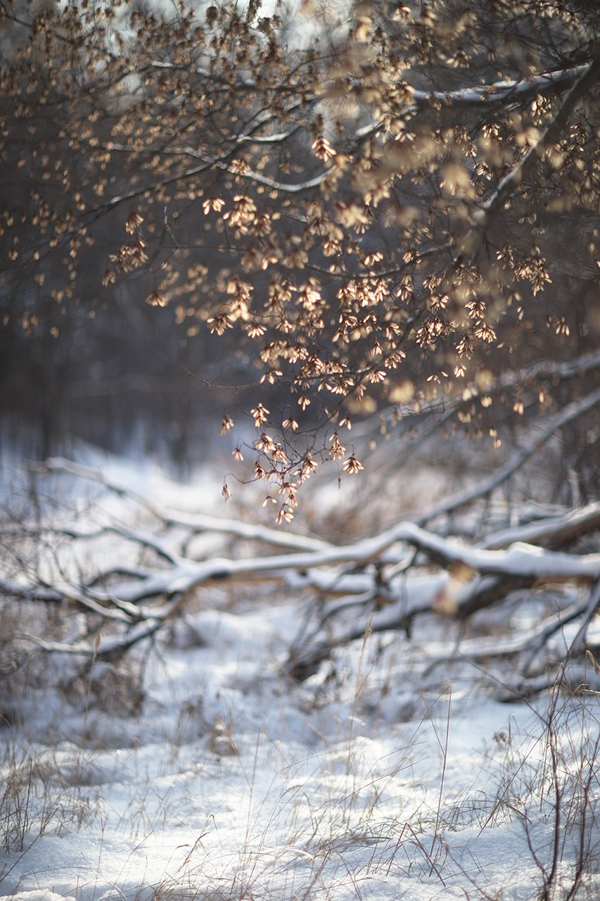 СЕМЬЯ / ДЕТИ. Детский и семейный фотограф в Тамбове Марина Смаль