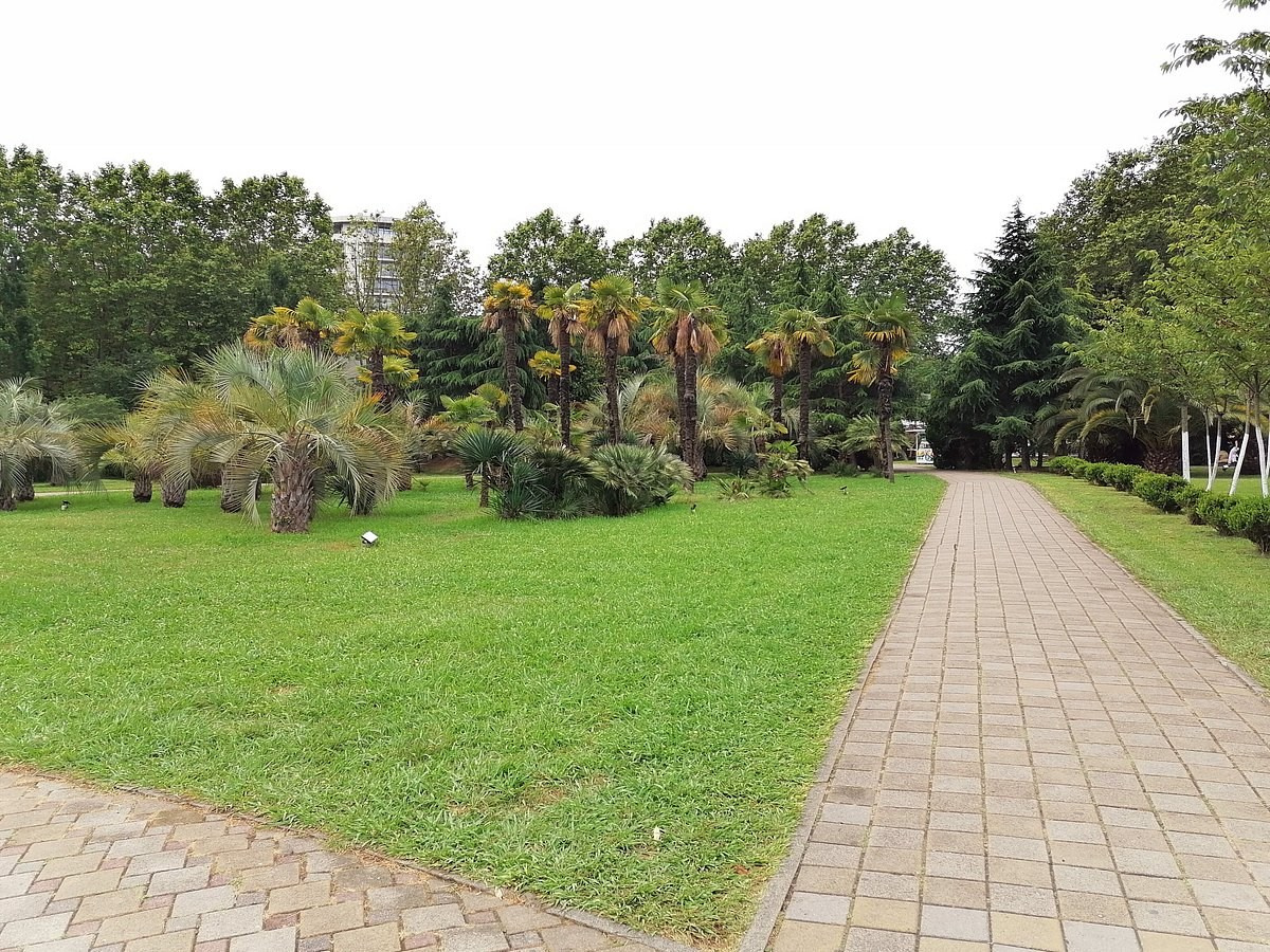 КРАСИВЫЕ МЕСТА В СОЧИ. Свадебный и семейный фотограф/видеограф в Краснодаре Наталья Осинская